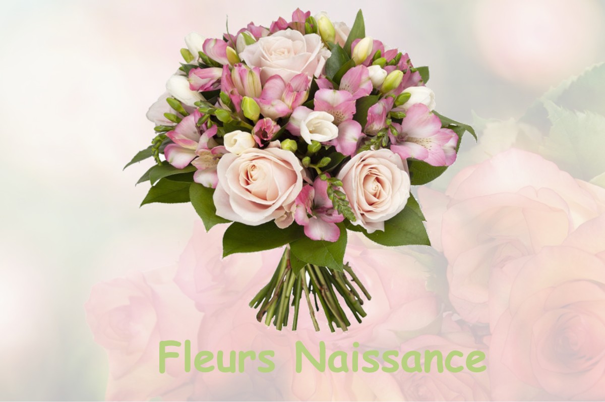 fleurs naissance PEYROUZET