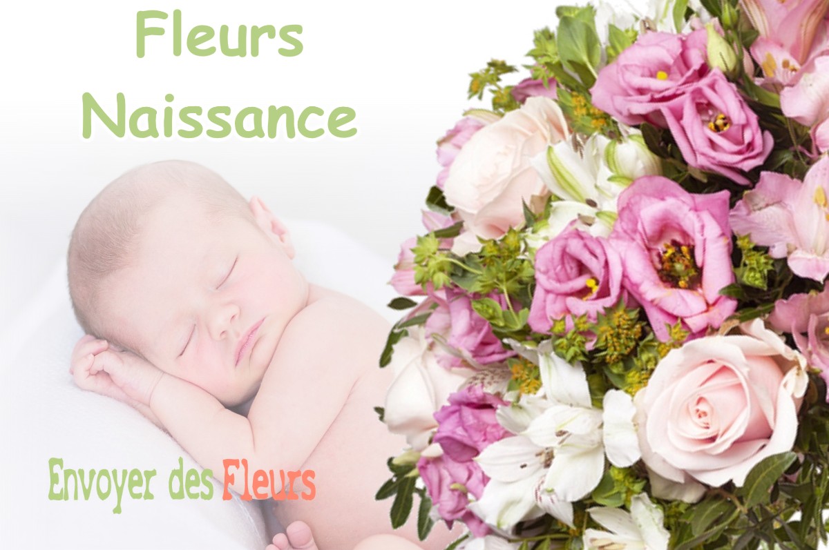 lIVRAISON FLEURS NAISSANCE à PEYROUZET